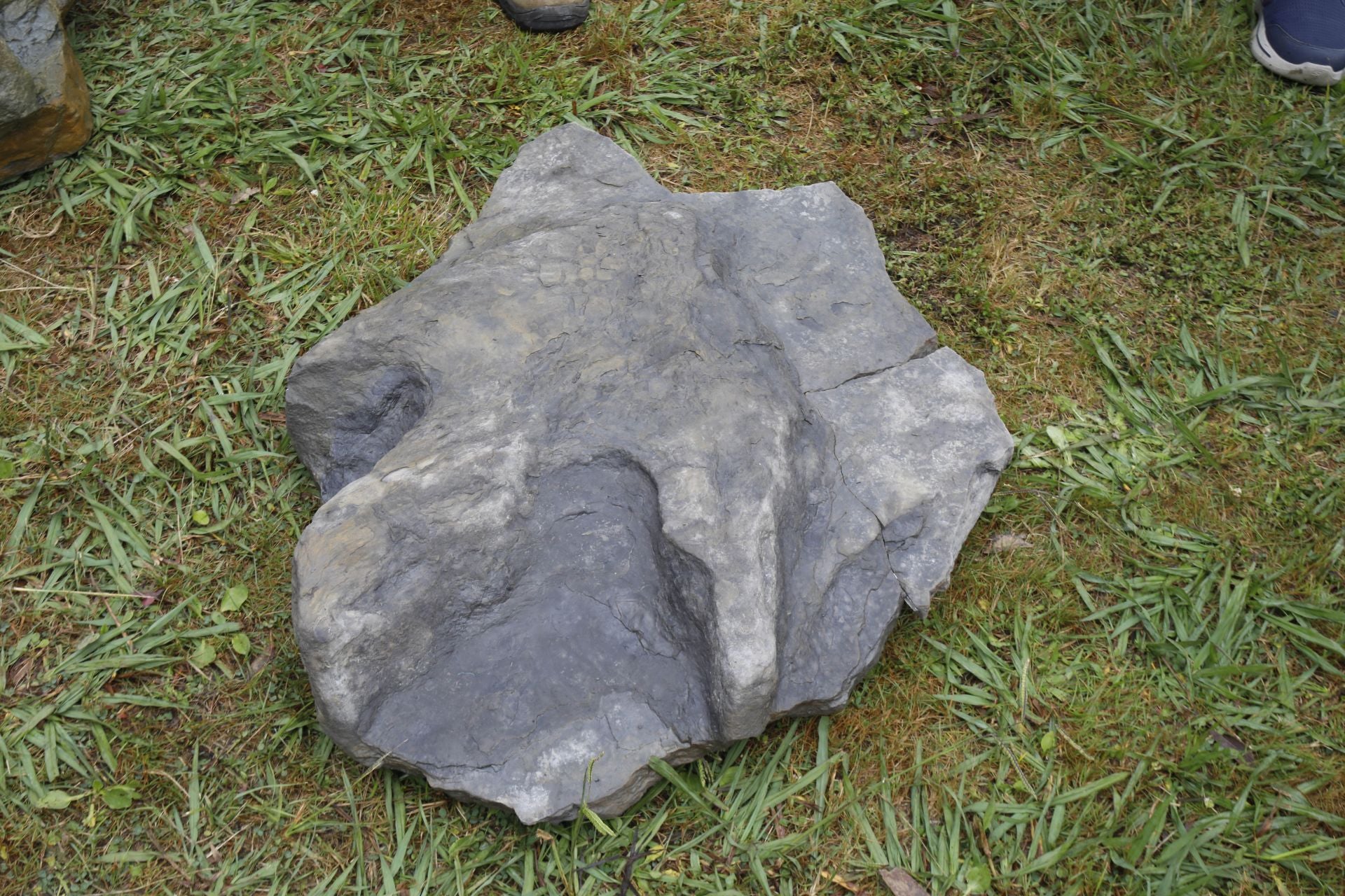 Hallazgo en Asturias: descubren una huella gigante de dinosaurio terópodo en Villaviciosa