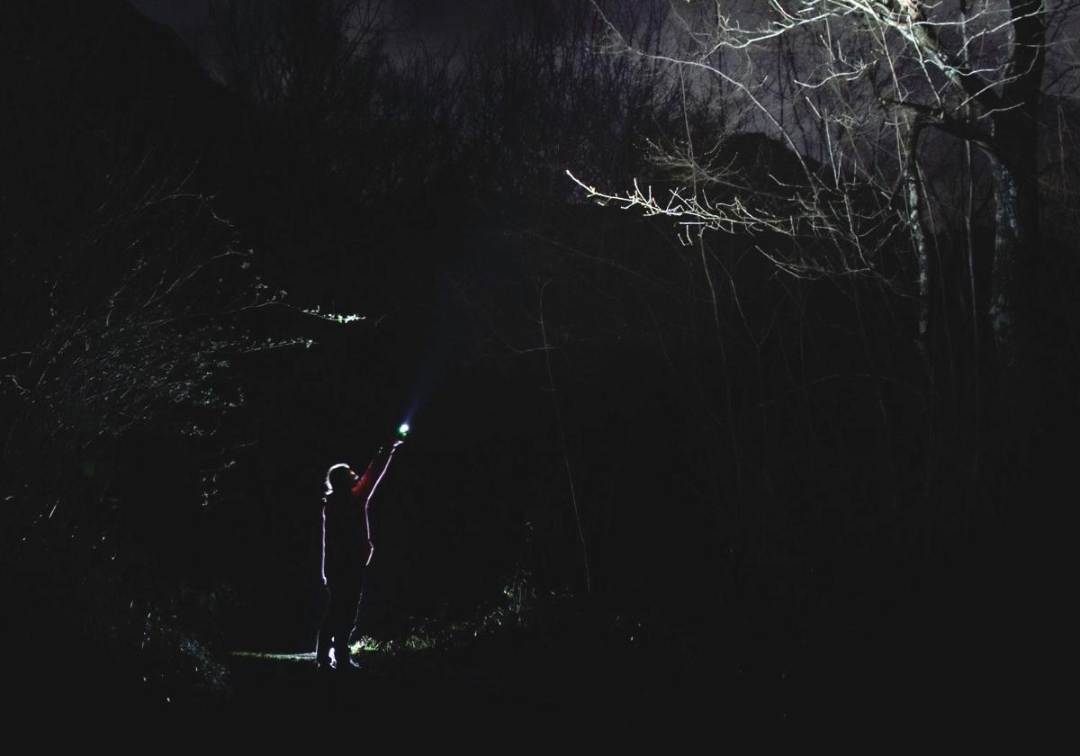 Una actividad para todo tipo de público que consiste en una ruta suave por el bosque de noche. La experiencia, guiada por biólogos, no va sólo de caminar: también consiste en sentir, descubrir y asombrarse con las criaturas que pueblan la oscuridad.