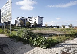 Terrenos donde se levantarán dos de los nuevos bloques de Peña Mea y la zona ajardinada.