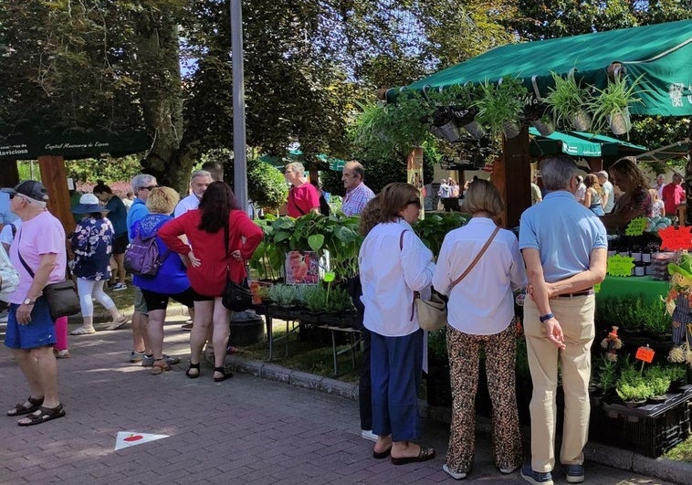 Villaviciosa celebra el X Festival del Arándano y los Frutos Rojos