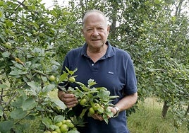 Samuel Trabanco, con sus manzanas en la pomarada de Llavandera.