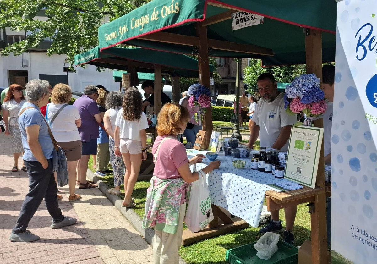 Visitantes en la Feria del Arándano y los Frutos Rojos de Villaviciosa