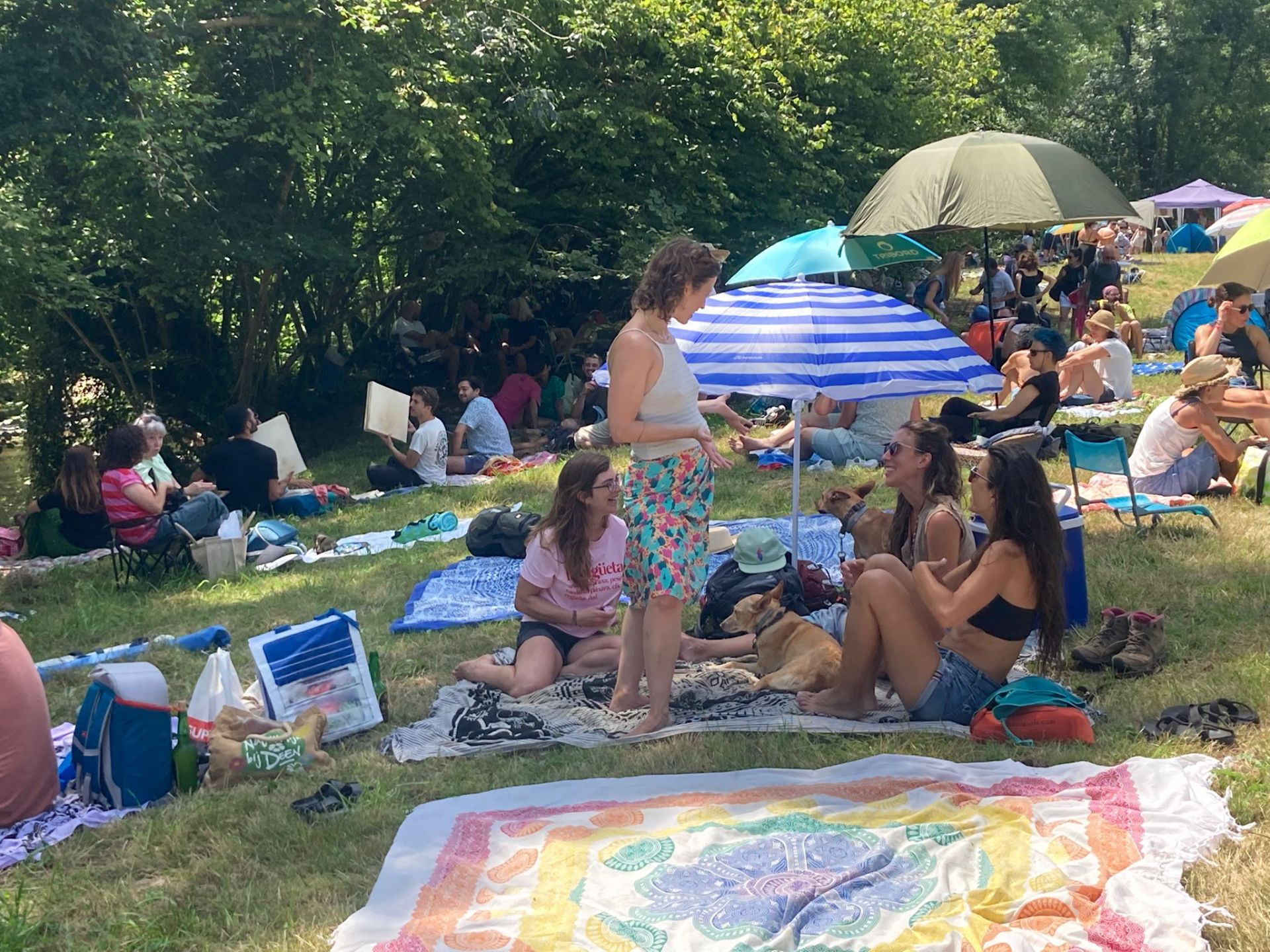 Una Señora Fiesta, en imágenes