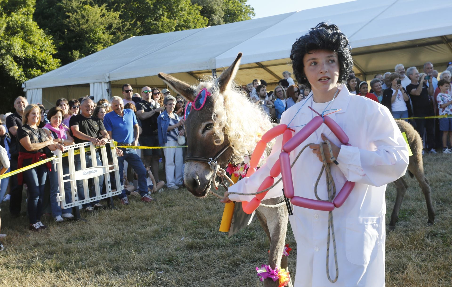 Desfile Folclórico de Burros en Pañeda
