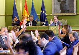 La sesión plenaria celebrada en Oviedo.