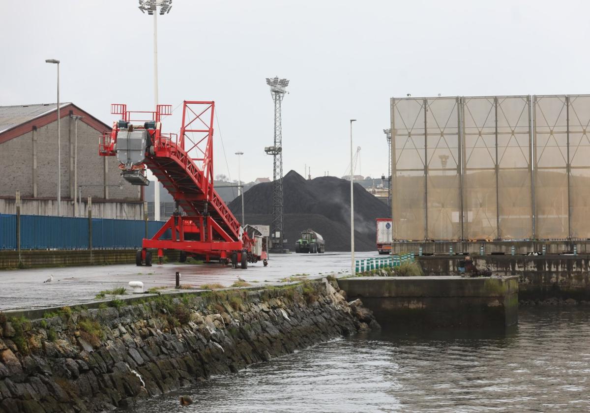 La planta se instalará en el muelle de Raíces.