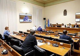 Los diputados de la comisión de investigación del caso de la mina de Cerredo escuchan las explicaciones de un guarda del Medio Natural.