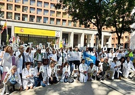 Concentración de profesionales sanitarios en Madrid.