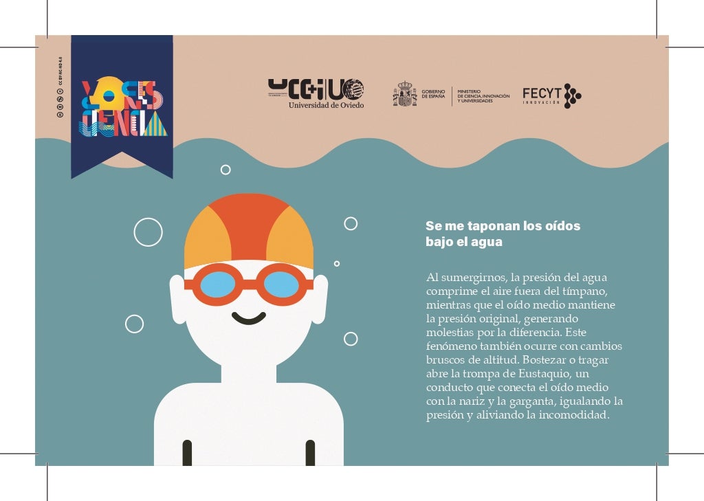Imagen de Galeria