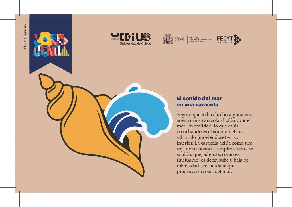 Imagen de Galeria