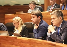 El diputado del PP Andrés Ruiz, en el centro.