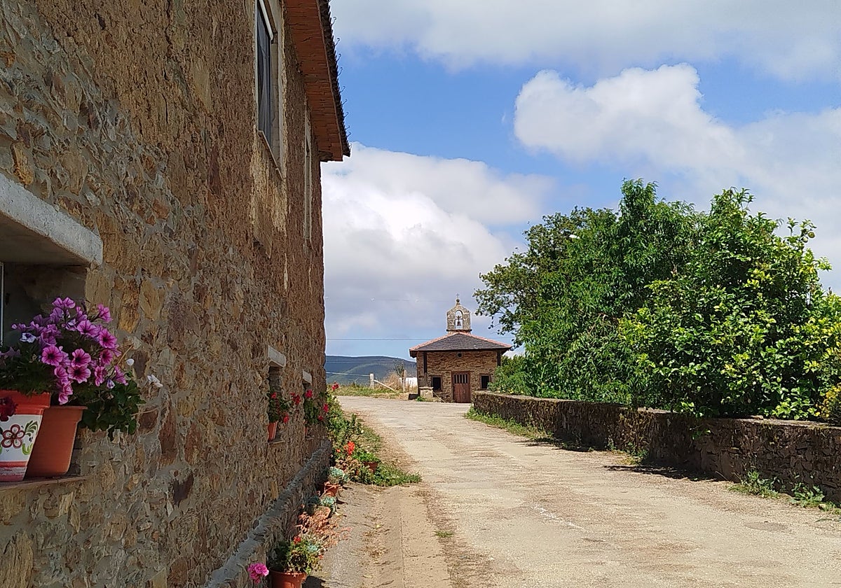 Flores en Casa d'Anuca en el camino a la capilla de Santu Antón y Santa Marina. Al fondo, bajo las nubes, Zarréu, Grandiel.la y el Picu la Mouta.