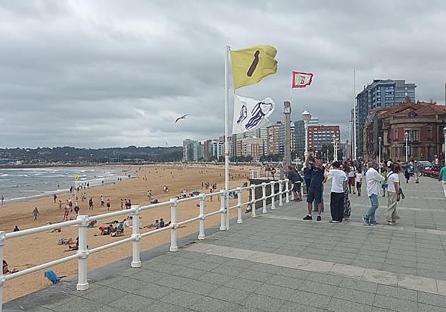 Bandera de alerta de la presencia de medusas hondeando hoy en la playa de San Lorenzo.