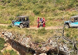 Evacúan al hospital a un hombre herido tras ser mordido por un perro en un monte de Cangas de Onís