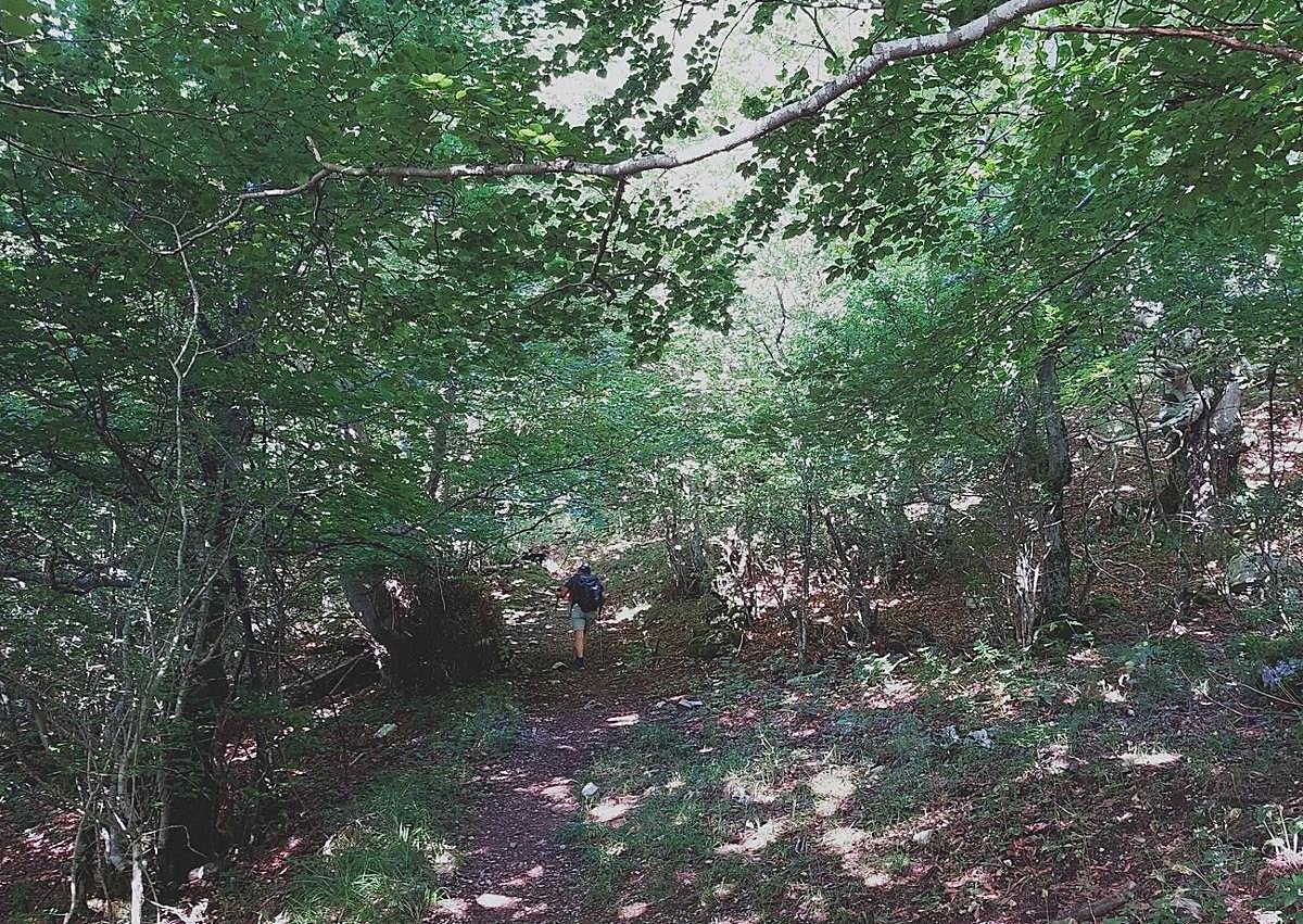 Imagen secundaria 1 - Lindes/ Entrando al bosque de Lindes/ señales indicativas a peña Rueda. 