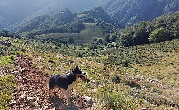 Sendero de tierra rumbo a la cresta, con un horizonte de bosques a la espalda.