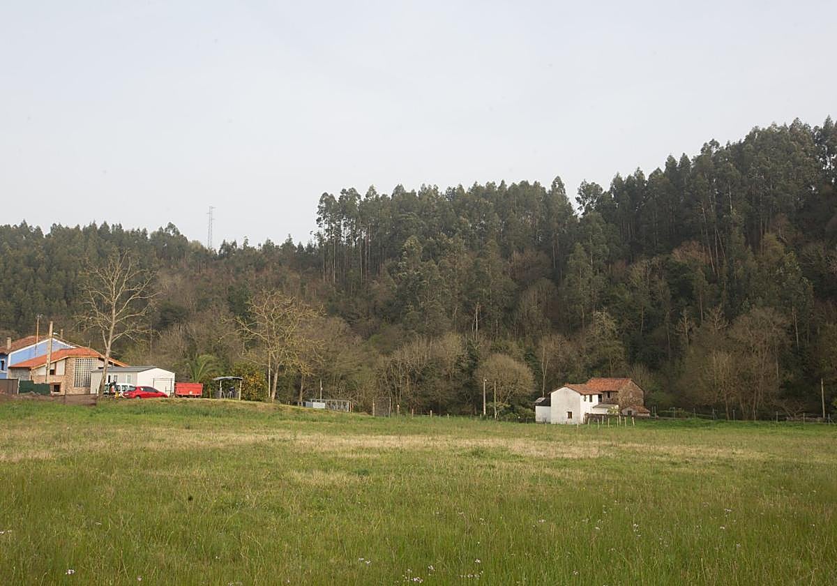 Zona en la que se ubica la fosa de La Lloba.