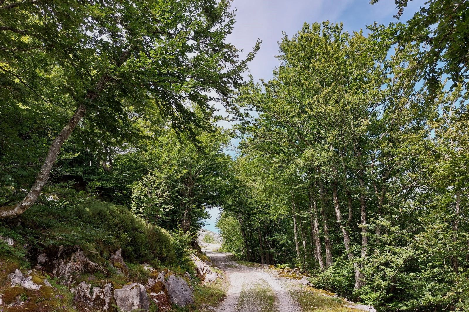 Imagen secundaria 2 - Ruta por el PR PNPE-28: un paseo por el macizo oriental entre caliza y verde