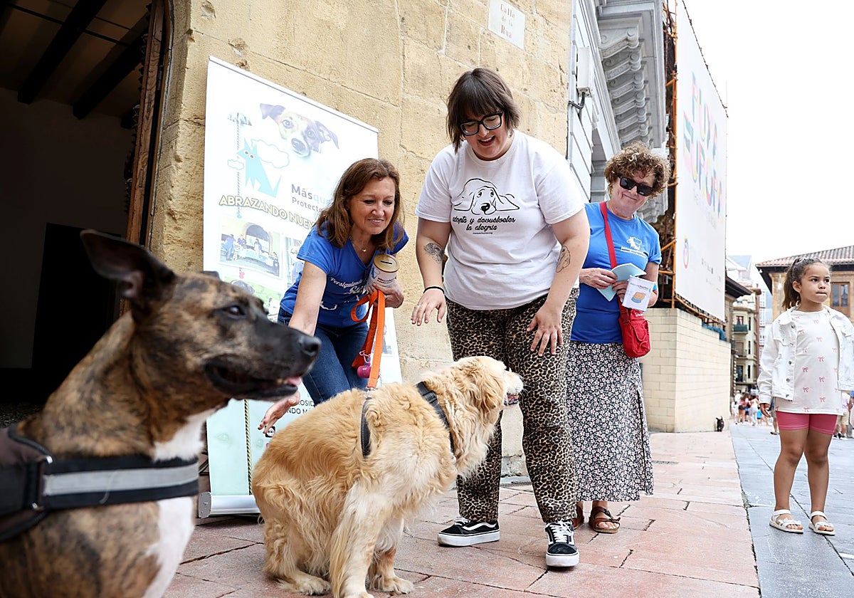 Voluntarias de Más que Chuchos con los perros de la protectora.
