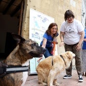 Voluntarias de Más que Chuchos con los perros de la protectora.