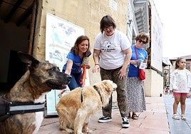 Voluntarias de Más que Chuchos con los perros de la protectora.