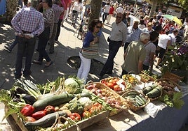 Productos presentados a una pasada edición del Certamen de la Huerta de Posada de Llanes.