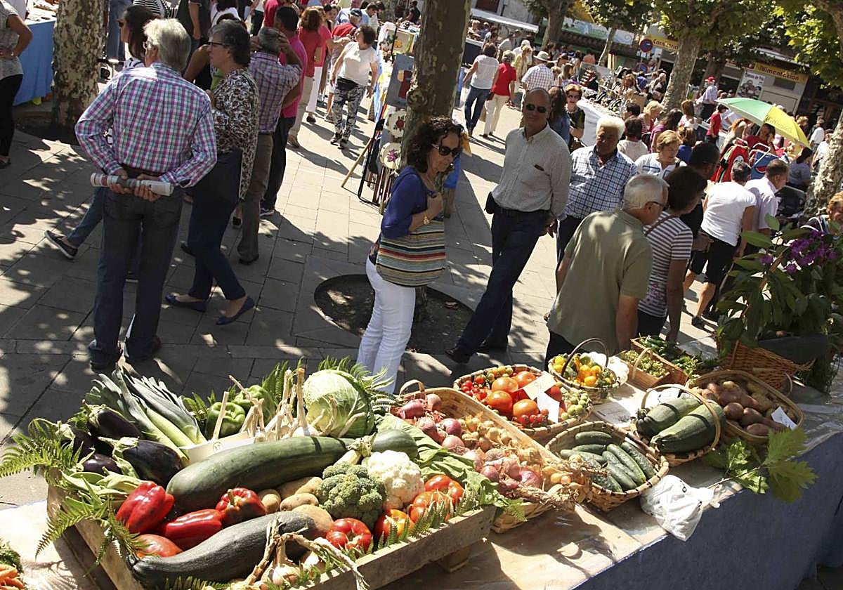 Productos presentados a una pasada edición del Certamen de la Huerta de Posada de Llanes.