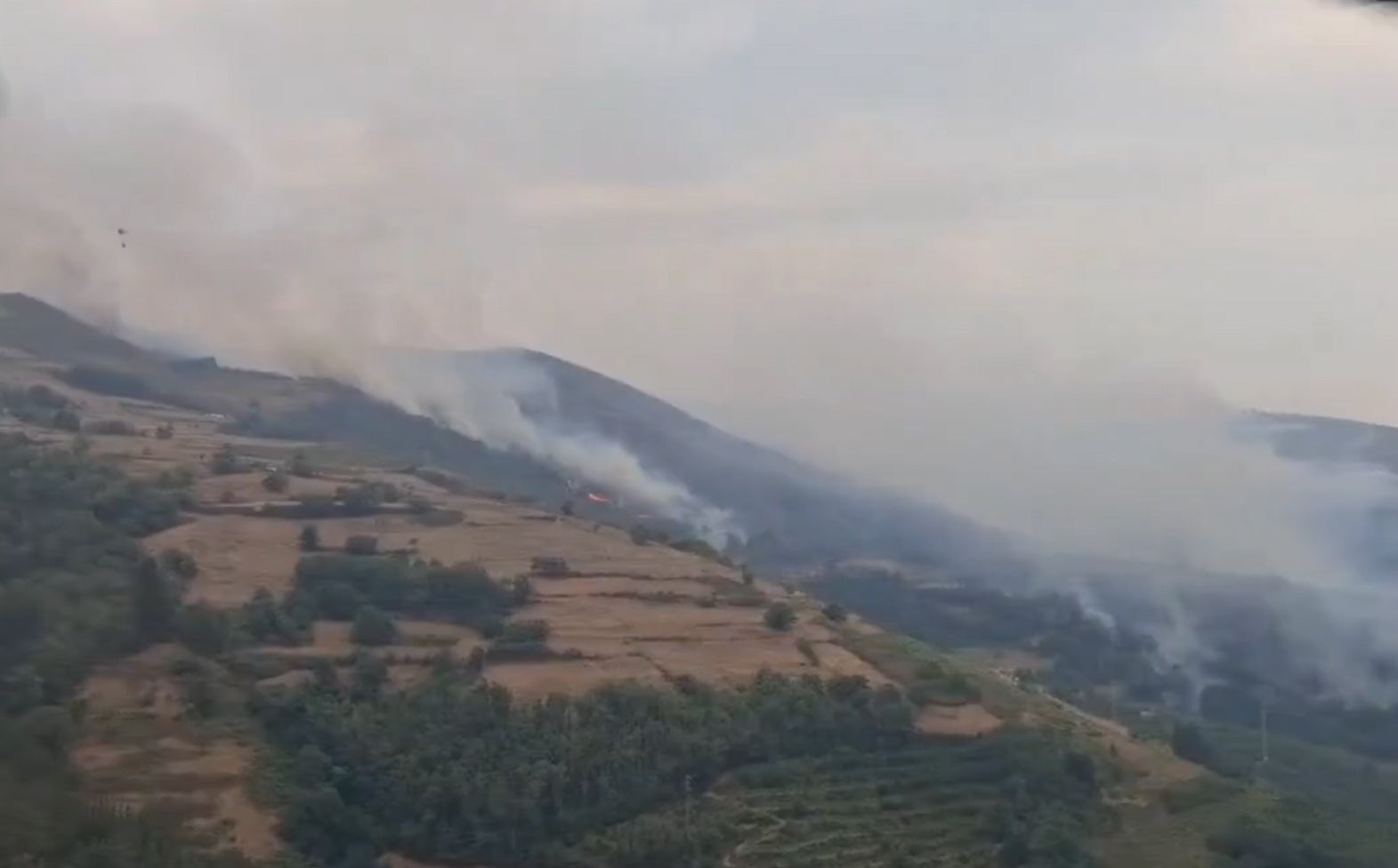El fuego amenaza a casas y viñedos en Cangas del Narcea