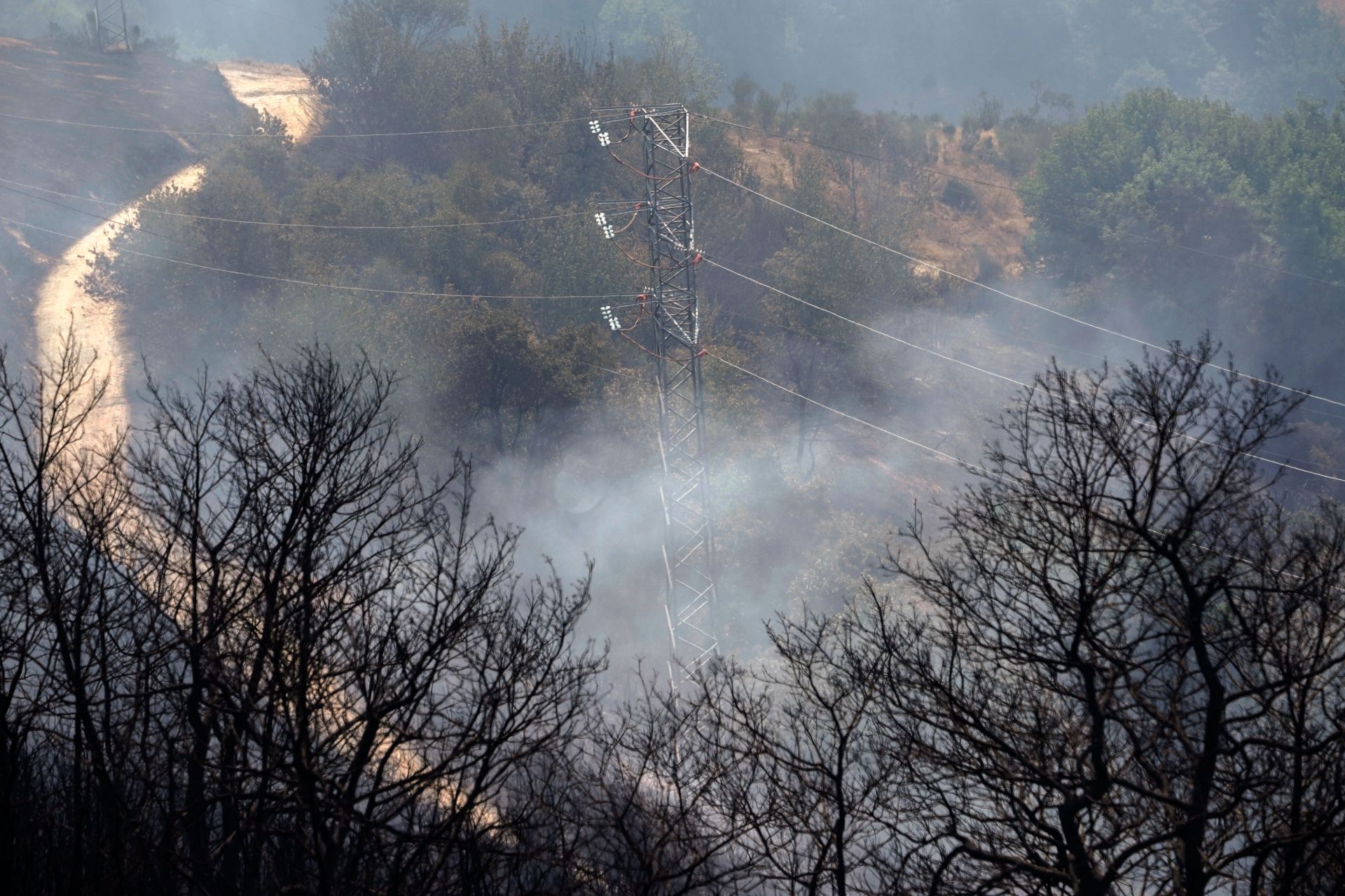 Las consecuencias de los incendios forestales en Cangas del Narcea
