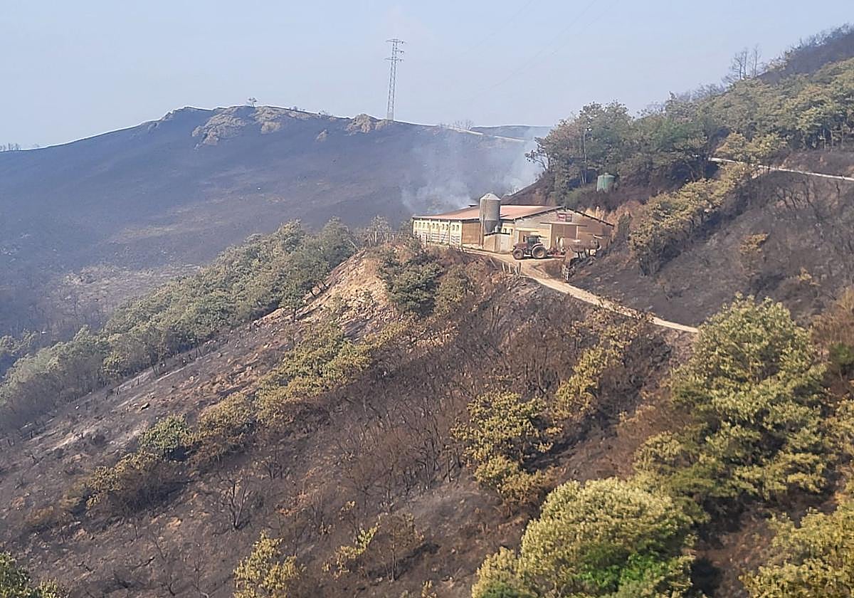 Las consecuencias de los incendios forestales en Cangas del Narcea