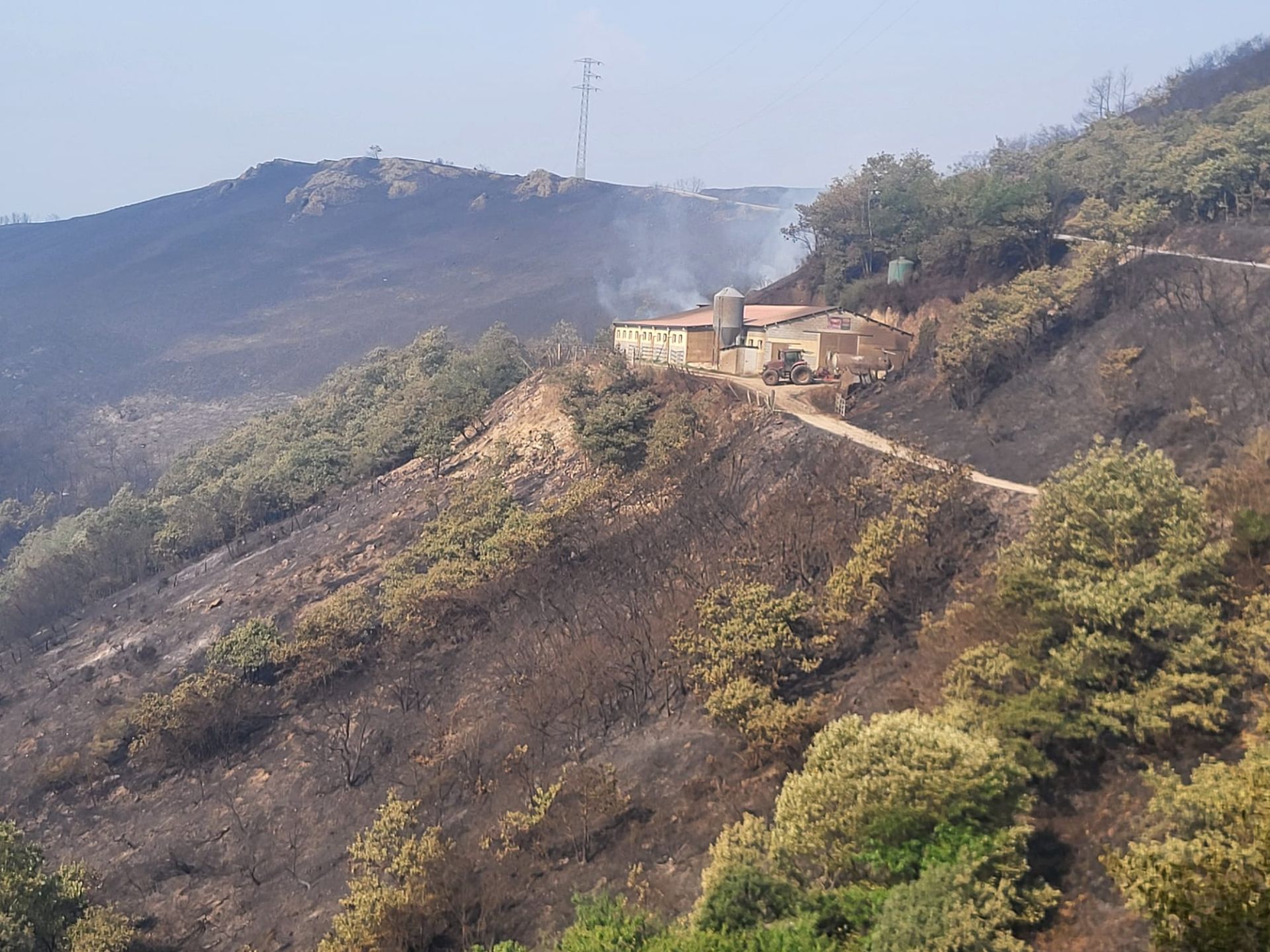 Las consecuencias de los incendios forestales en Cangas del Narcea