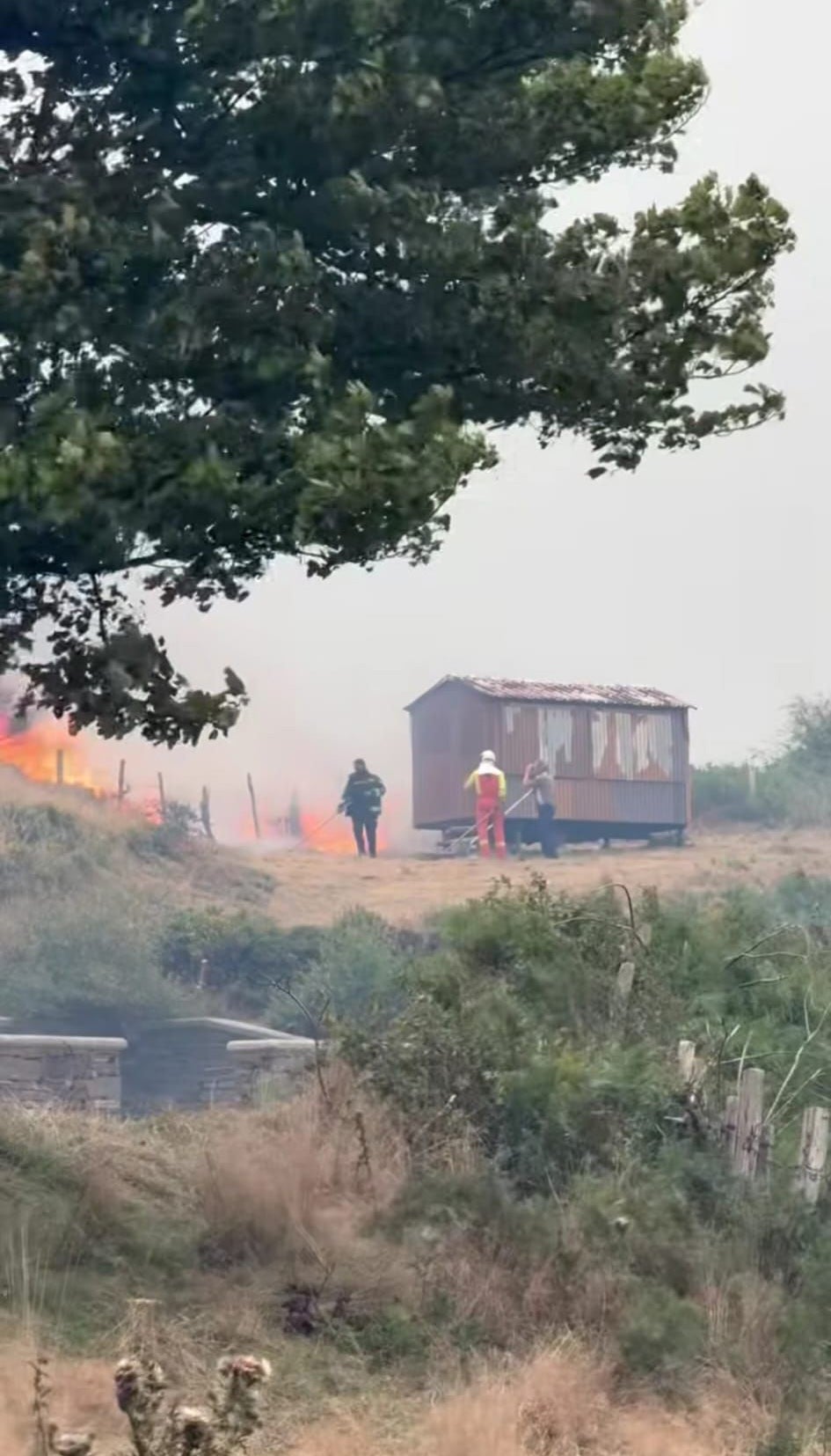 Las consecuencias de los incendios forestales en Cangas del Narcea