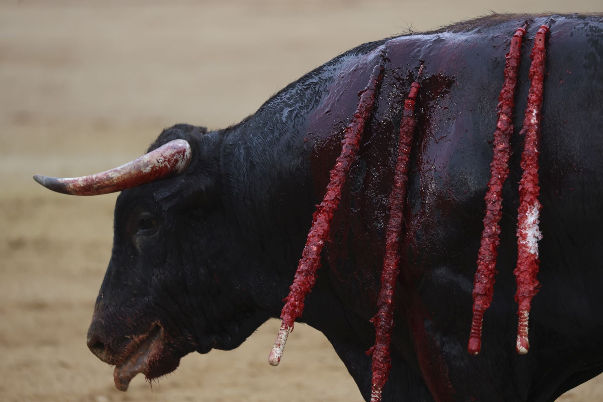 La primera corrida de la Feria de Begoña en imágenes