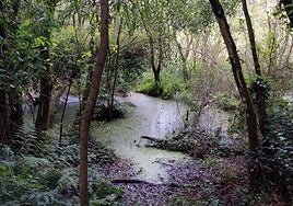 Lagunas de Silva, en Salave, en cuyo subsuelo se encuentra el yacimiento de oro que EMC quiere explotar.