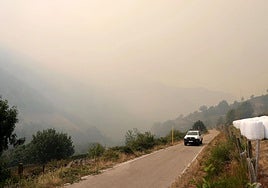 La densa capa de humo provocada por el incendio en Genestoso.
