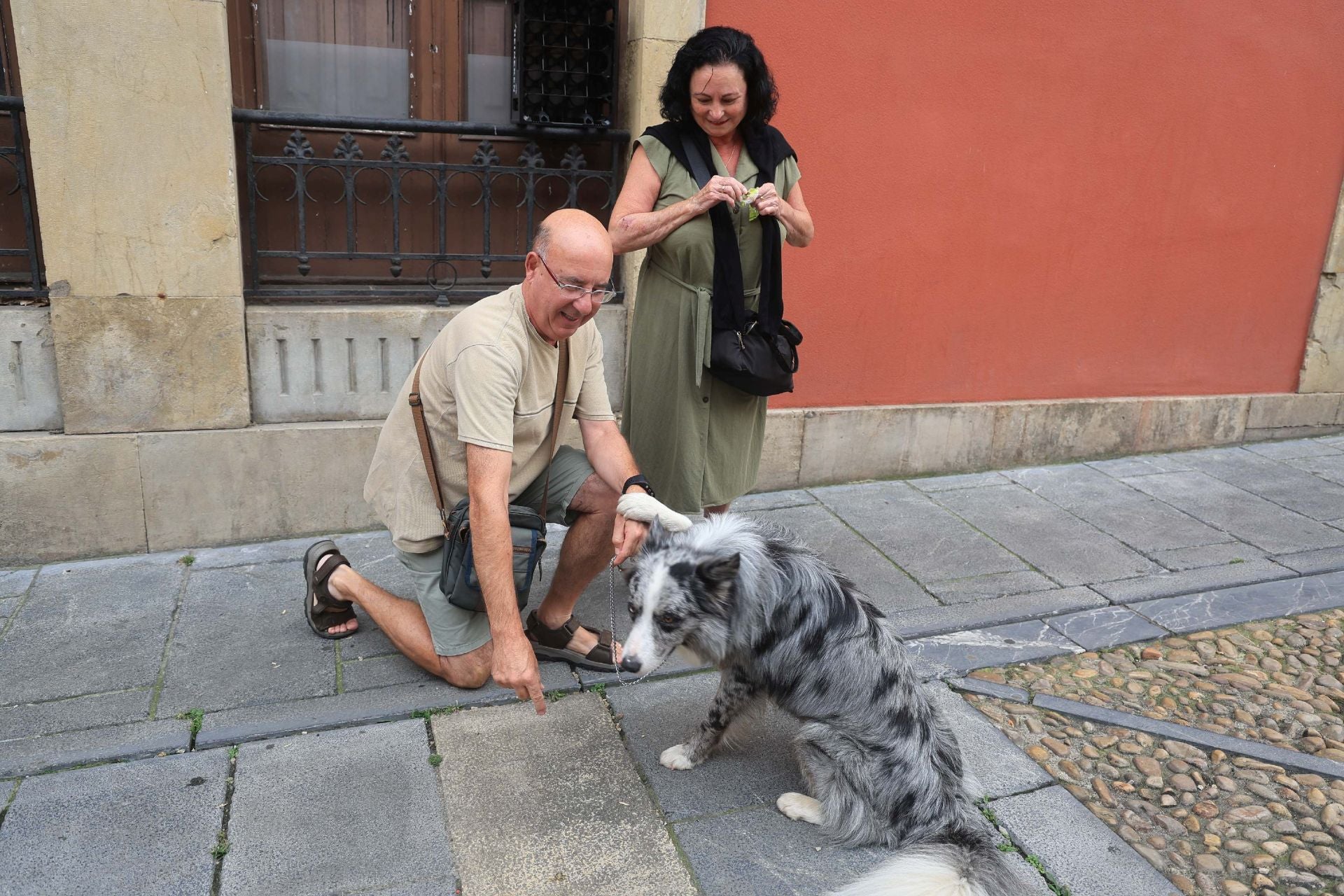 Los perros de Avilés vuelven a Galiana por San Roque
