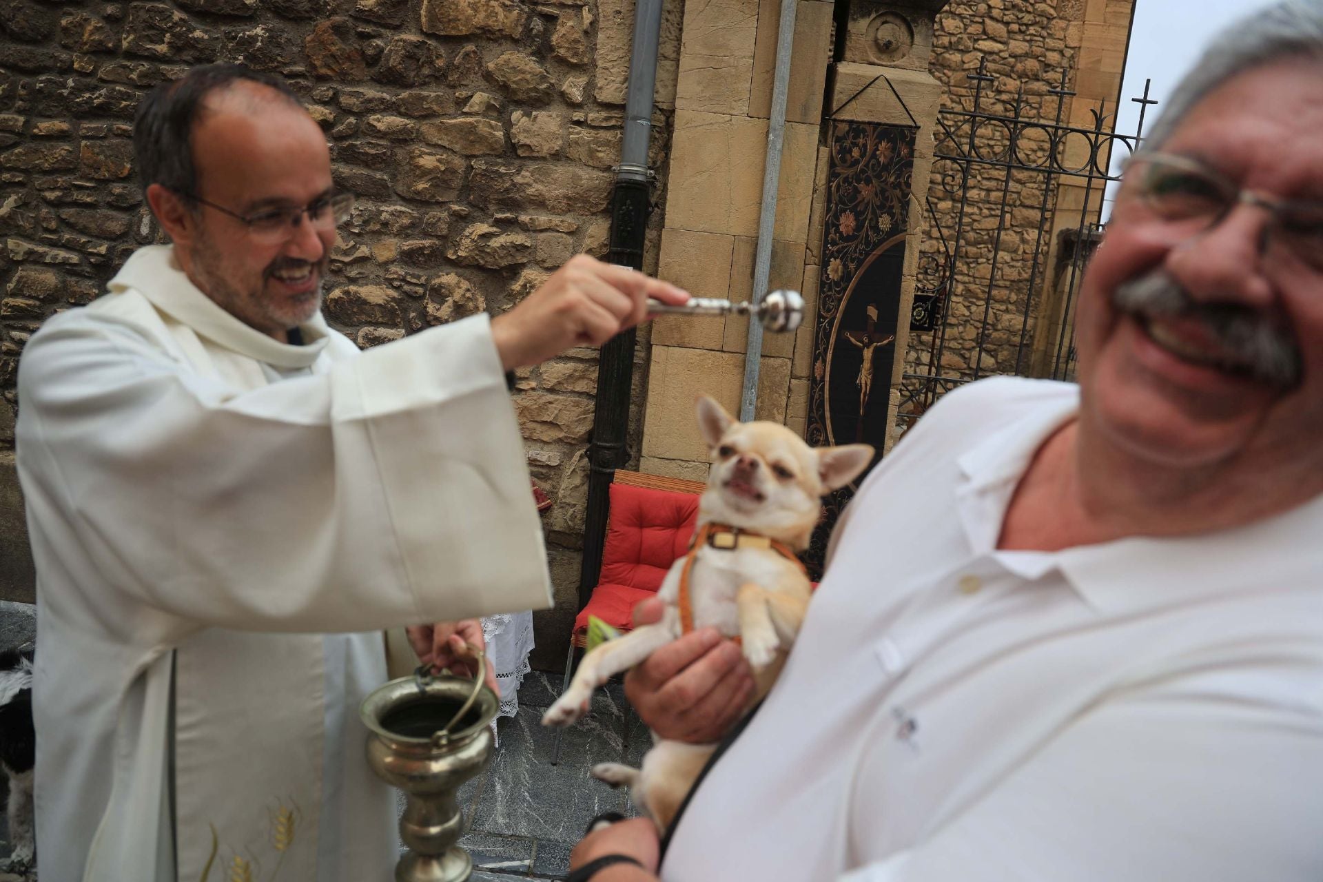 Los perros de Avilés vuelven a Galiana por San Roque
