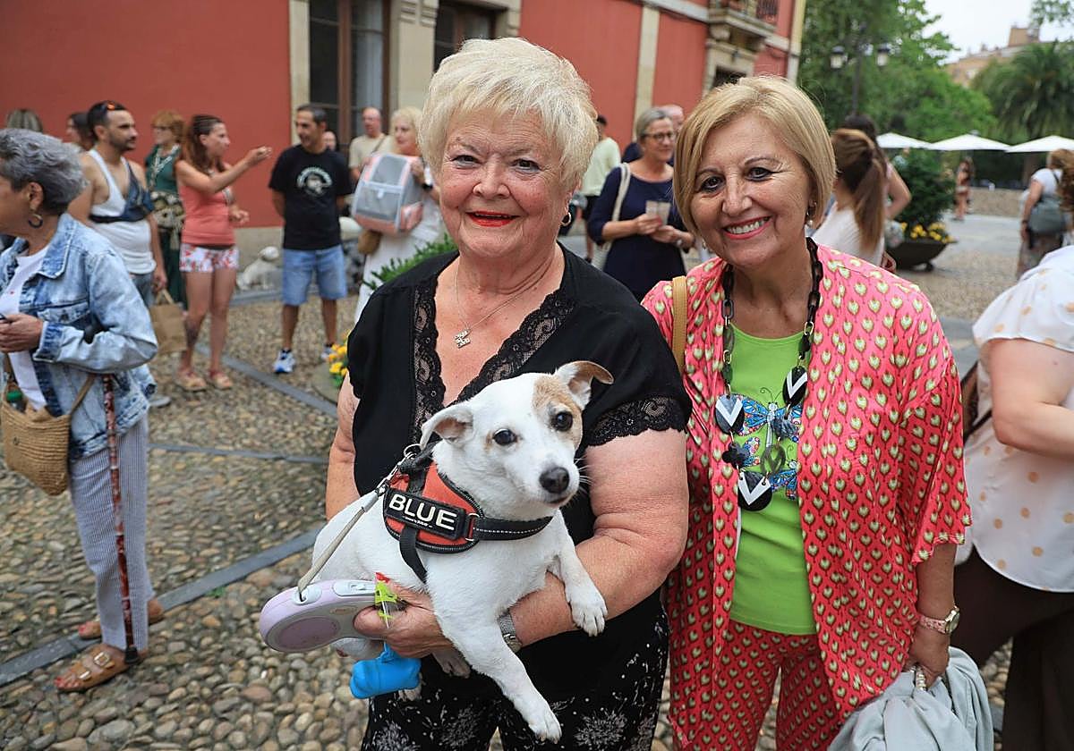 Los perros de Avilés vuelven a Galiana por San Roque