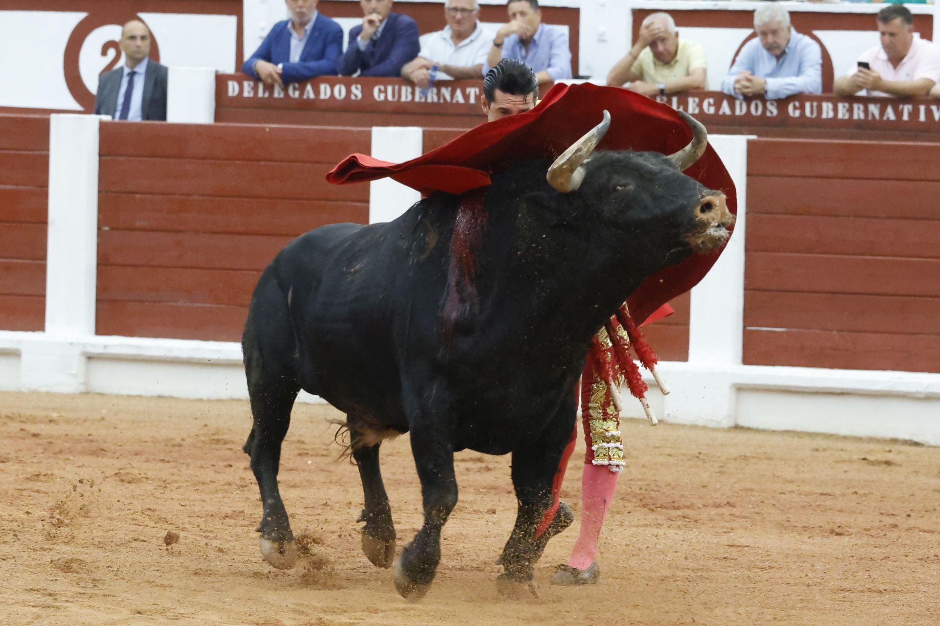 Último día de Feria taurina en Gijón: Manzanares y Talavante triunfan en El Bibio