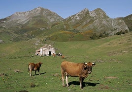 Imagen de archivo de la vega del Arcenorio, en la zona alta de Ponga.