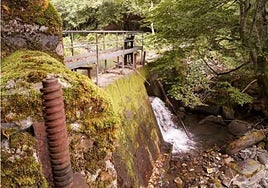El río Aller, a la altura del azud de Viesca.