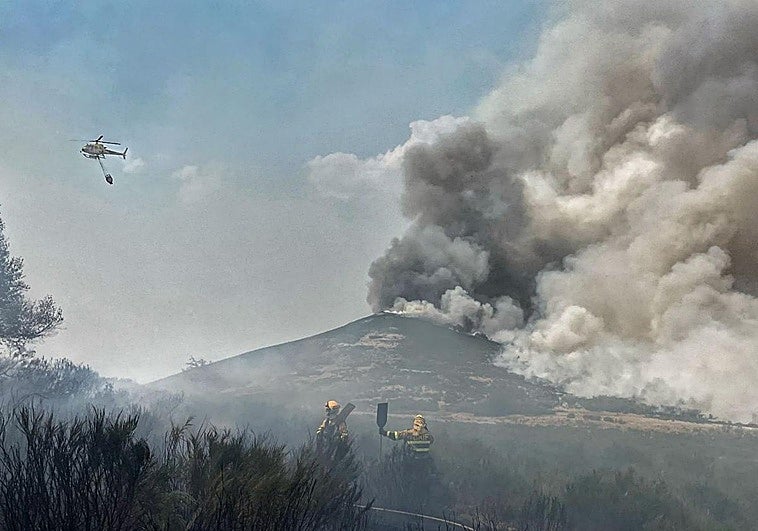 Imagen compartida por la Brif de Tineo.
