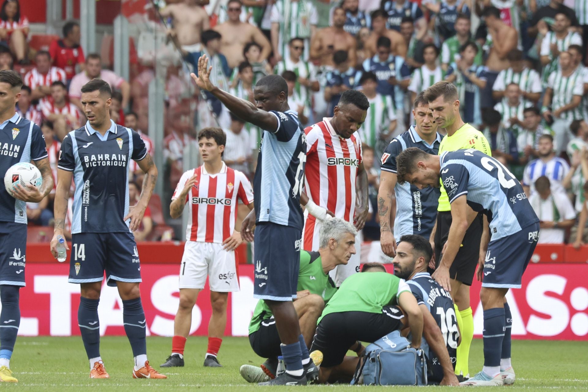 Fotos: Las mejores imágenes del Sporting - Córdoba