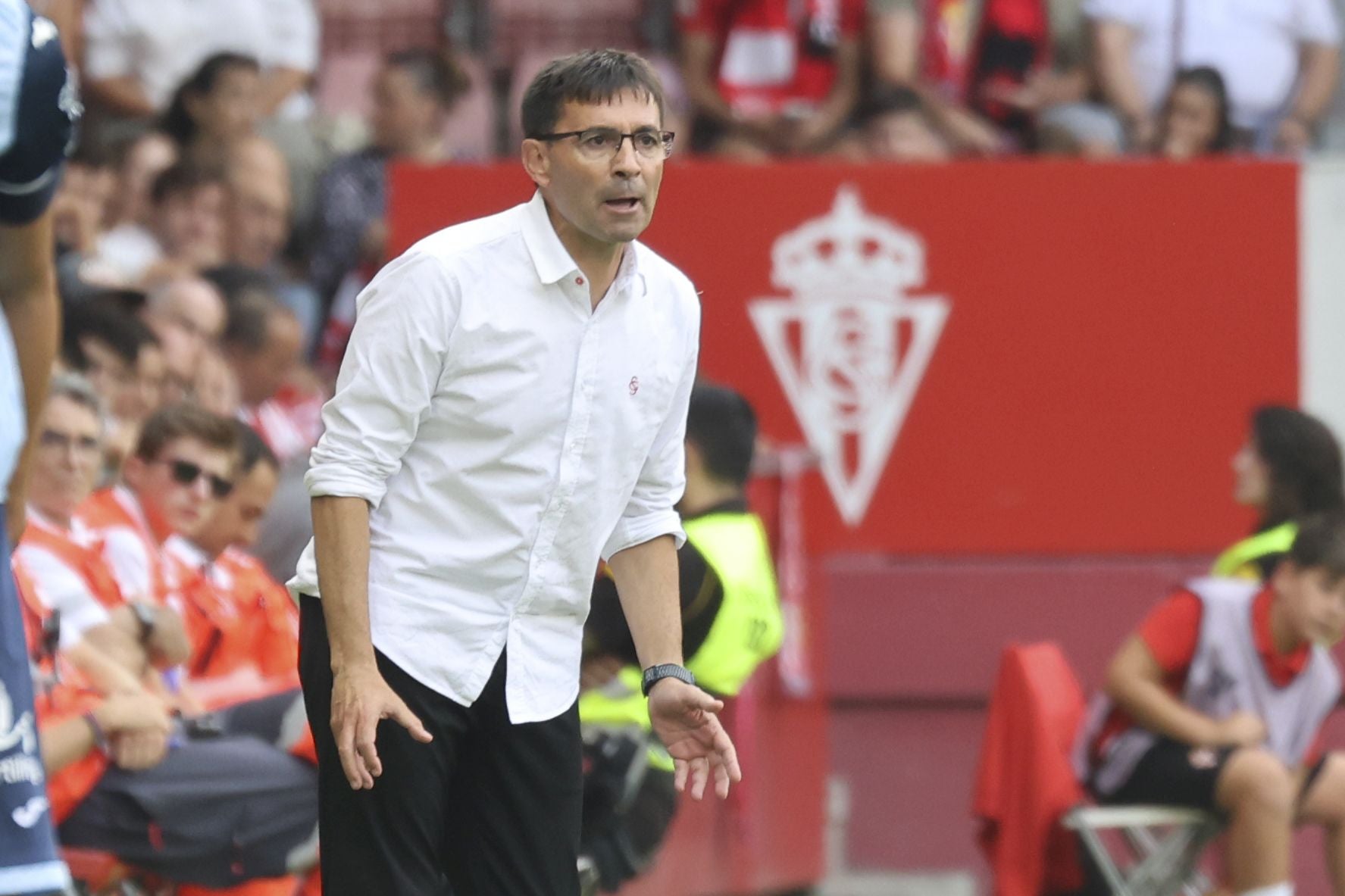 Fotos: Las mejores imágenes del Sporting - Córdoba