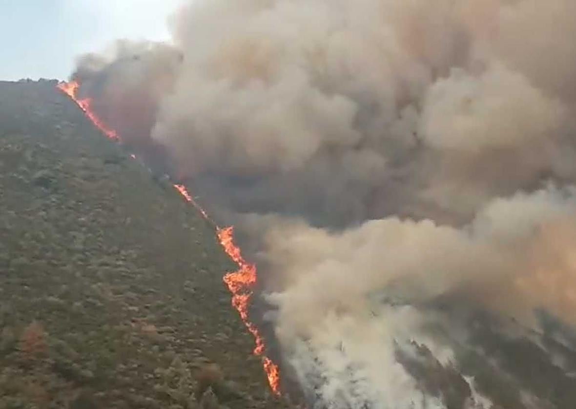 Las imágenes que dejan los incendios forestales en Asturias