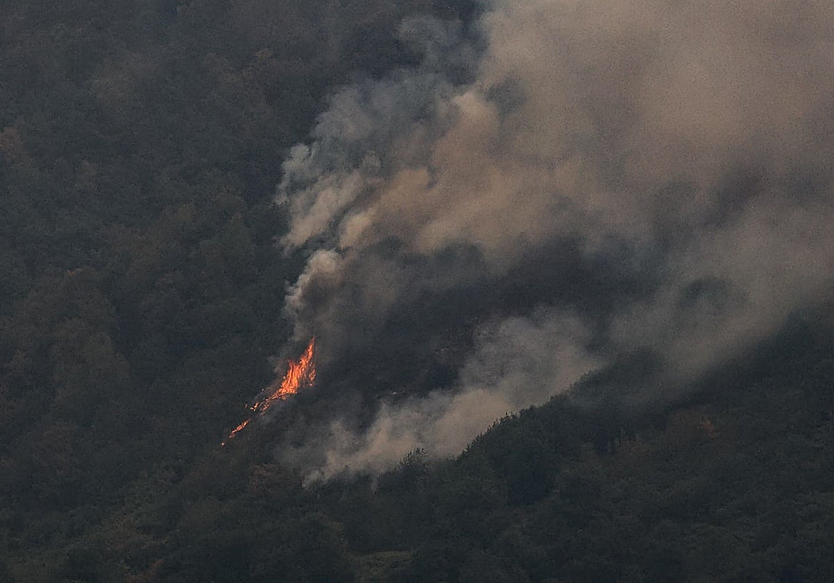 Uno de los incendios que arrasa los montes asturianos.