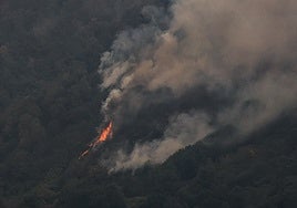 Uno de los incendios que arrasa los montes asturianos.