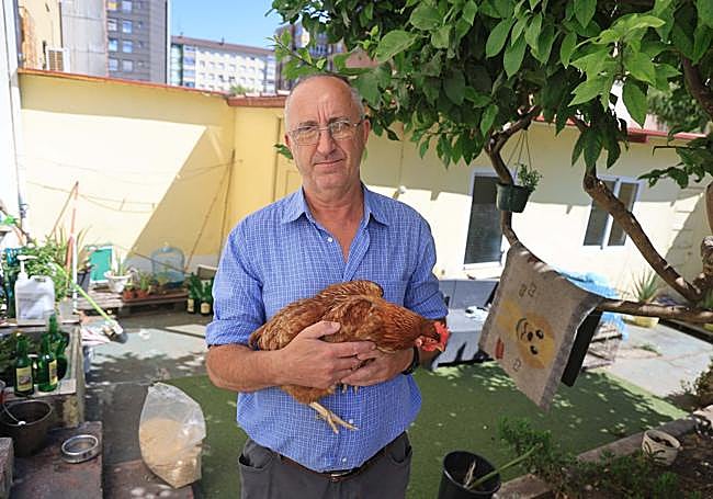 Álvaro Medina sujeta a la gallina 'Patricia'.