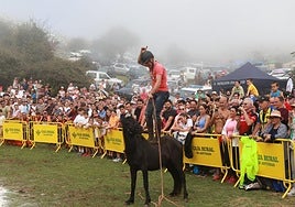 Fiesta del Asturcón en Piloña