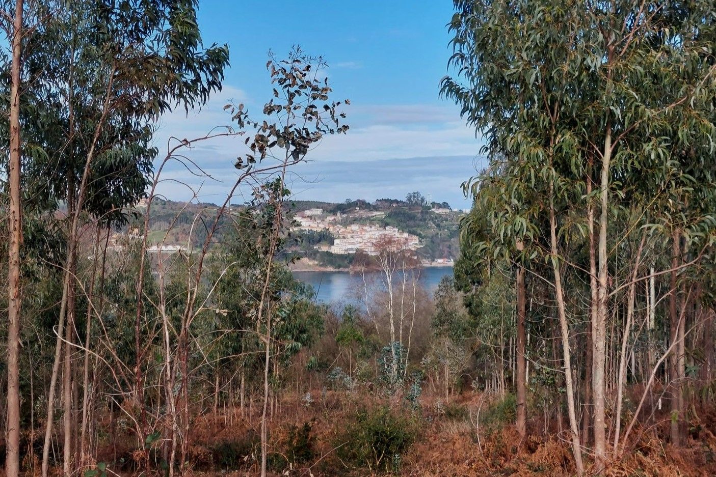 Imagen secundaria 1 - Playa de la Griega, arenal ideal para un chapuzón o un descanso en la toalla; bosque de eucaliptos entre la Isla y la Griega/ Iglesia de San Xuan de Duz. 